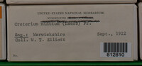 Image Associated With the Occurrence